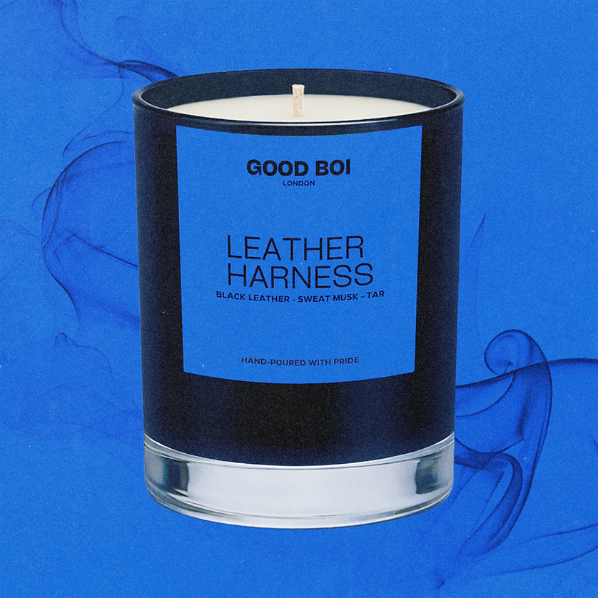 Leather Harness